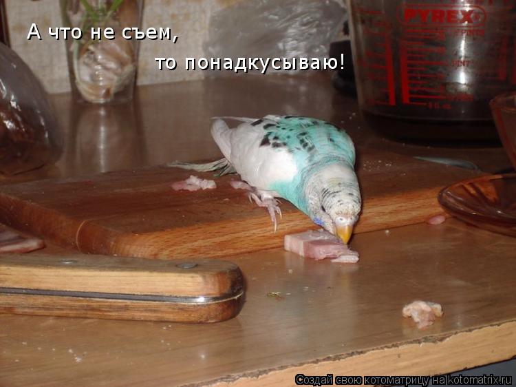 А что не съем, то понадкусываю!... Котоматрица: А что не съем, то понадкусываю!