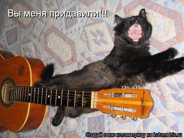 Вы меня придавили!!!... Котоматрица: Вы меня придавили!!!