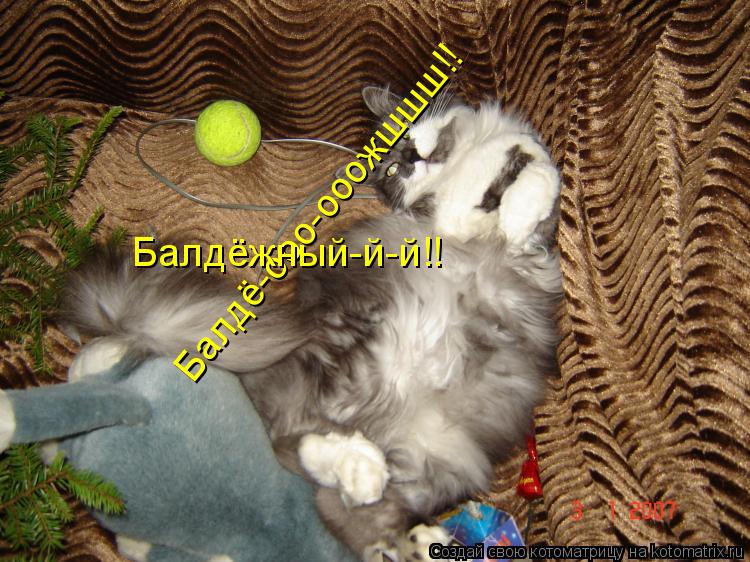 Балдё-ооо-ооожшшш!! Балдёжный-й-й!!... Котоматрица: Балдё-ооо-ооожшшш!! Балдёжный-й-й!!