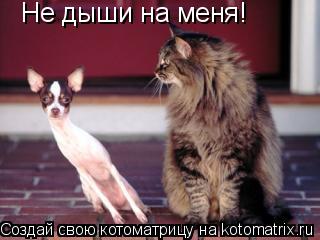 Не дыши на меня!... Котоматрица: Не дыши на меня!