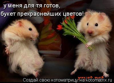 у меня для тя готов, букет прекраснейших цветов!... Котоматрица: у меня для тя готов, букет прекраснейших цветов!