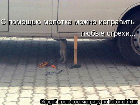 С помощью молотка можно исправить любые огрехи...... Котоматрица: С помощью молотка можно исправить любые огрехи...
