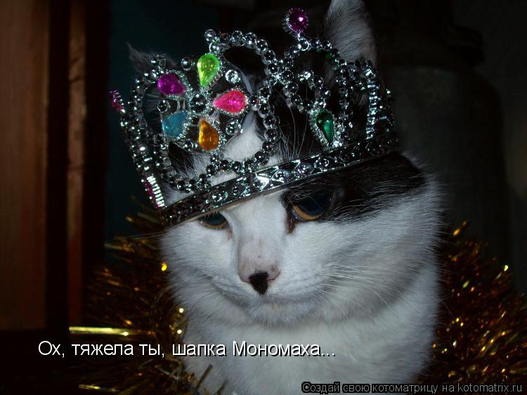 Ох, тяжела ты, шапка Мономаха...... Котоматрица: Ох, тяжела ты, шапка Мономаха...