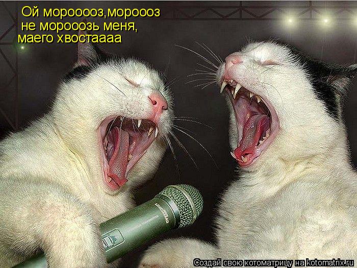 Ой морооооз,мороооз Ой морооооз,мороооз не морооозь меня.... не морооозь меня, маего хвостаааа... Котоматрица: Ой морооооз,мороооз Ой морооооз,мороооз не морооозь меня.... не морооозь меня, маего хвостаааа