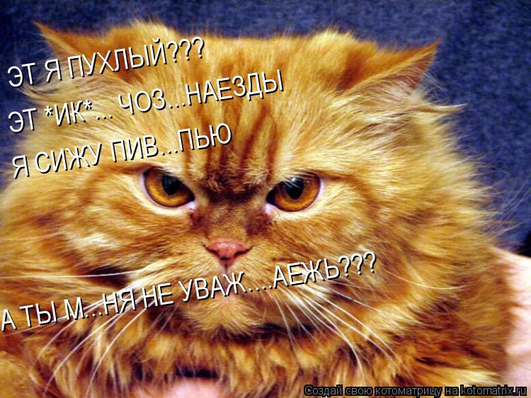 ЭТ *ИК*... ЧОЗ...НАЕЗДЫ ЭТ Я ПУХЛЫЙ??? Я СИЖУ ПИВ...ПЬЮ А ТЫ М...НЯ НЕ УВАЖ....АЕЖЬ???... Котоматрица: ЭТ *ИК*... ЧОЗ...НАЕЗДЫ ЭТ Я ПУХЛЫЙ??? Я СИЖУ ПИВ...ПЬЮ А ТЫ М...НЯ НЕ УВАЖ....АЕЖЬ???