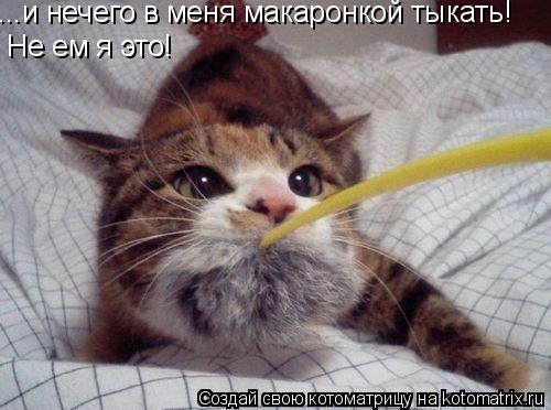 Котоматрица: ...и нечего в меня макаронкой тыкать! Не ем я это!
