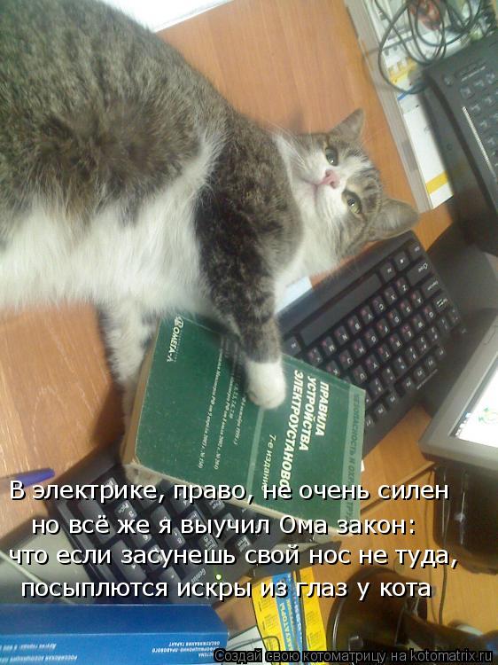 Котоматрица: посыплются искры из глаз у кота что если засунешь свой нос не туда, но всё же я выучил Ома закон: В электрике, право, не очень силен