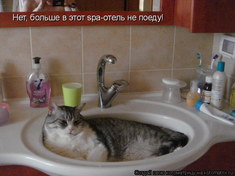 Нет, больше в этот spa-отель не поеду!... Котоматрица: Нет, больше в этот spa-отель не поеду!