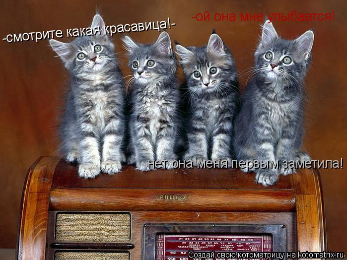 -смотрите какая красавица!- -ой она мне улыбается! нет она меня первым заметила!... Котоматрица: -смотрите какая красавица!- -ой она мне улыбается! нет она меня первым заметила!