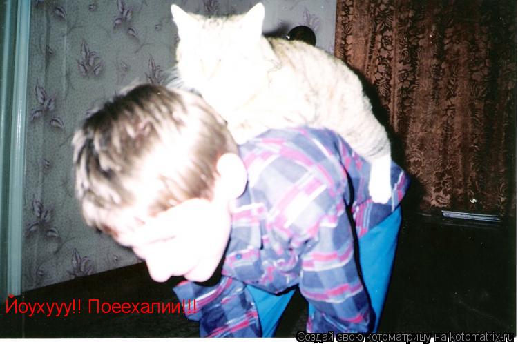 Йоухууу!! Поеехалии!!!... Котоматрица: Йоухууу!! Поеехалии!!!