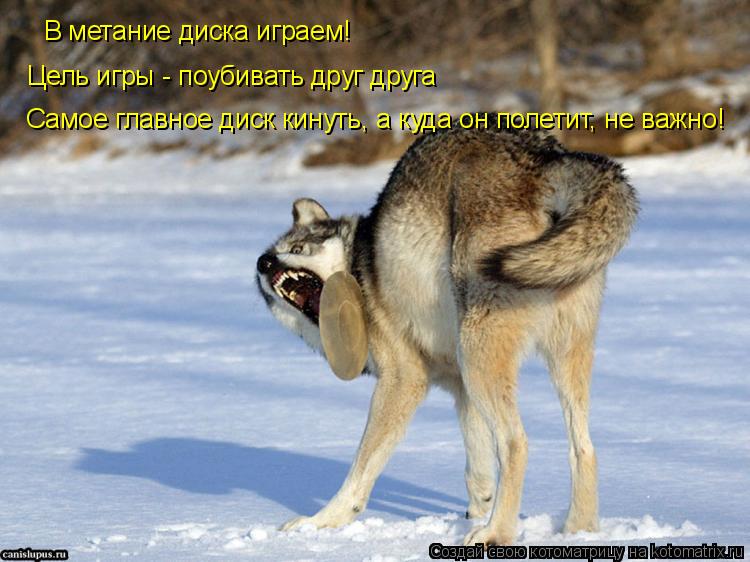 В метание диска играем! Цель игры - поубивать друг друга Самое главное диск кинуть, а куда он полетит... Котоматрица: В метание диска играем! Цель игры - поубивать друг друга Самое главное диск кинуть, а куда он полетит, не важно!