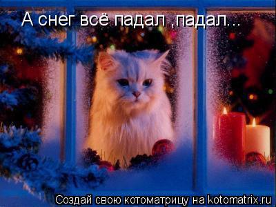 А снег всё падал ,падал...... Котоматрица: А снег всё падал ,падал...