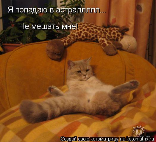Я попадаю в астраллллл... Не мешать мне!... Котоматрица: Я попадаю в астраллллл... Не мешать мне!