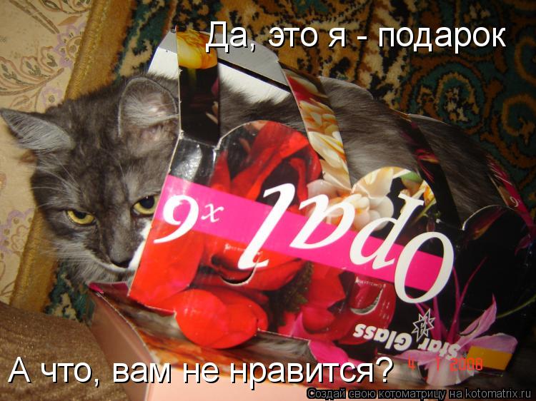 Да, это я - подарок А что, вам не нравится?... Котоматрица: Да, это я - подарок А что, вам не нравится?