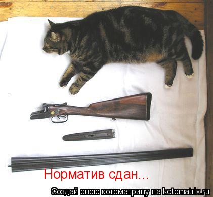Норматив сдан... Норматив сдан... Норматив сдан...... Котоматрица: Норматив сдан... Норматив сдан... Норматив сдан...