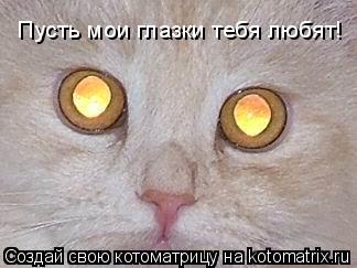 Пусть мои глазки тебя любят!... Котоматрица: Пусть мои глазки тебя любят!