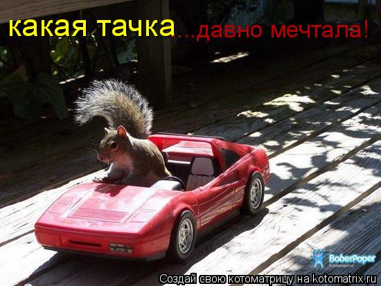какая тачка ....давно мечтала!... Котоматрица: какая тачка ....давно мечтала!