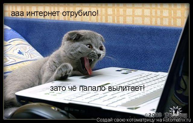 ааа интернет отрубило! зато чё папало вылитает!... Котоматрица: ааа интернет отрубило! зато чё папало вылитает!