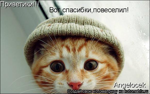 Вот спасибки,повеселил! Приветики!!! Angelocek... Котоматрица: Вот спасибки,повеселил! Приветики!!! Angelocek