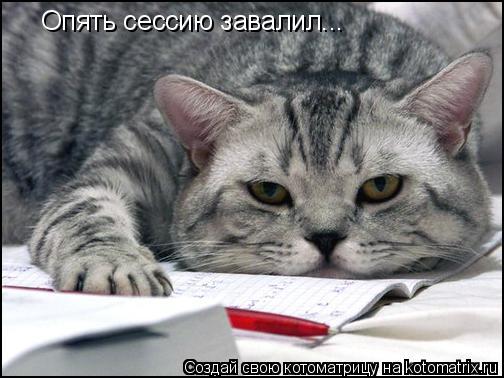 Опять сессию завалил...... Котоматрица: Опять сессию завалил...