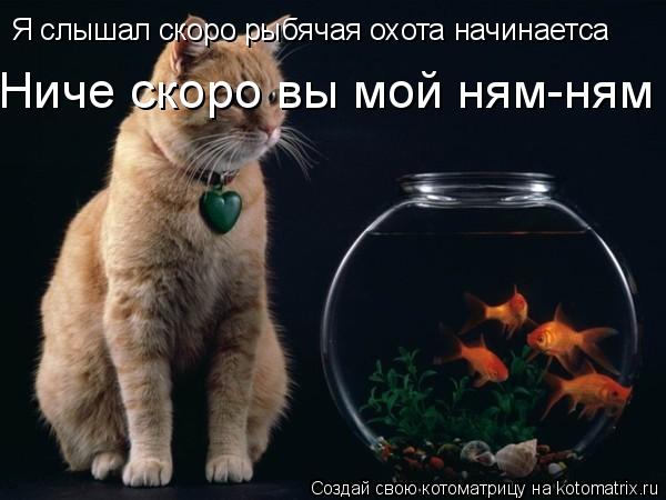 Я слышал скоро рыбячая охота начинаетса Ниче скоро вы мой ням-ням... Котоматрица: Я слышал скоро рыбячая охота начинаетса Ниче скоро вы мой ням-ням