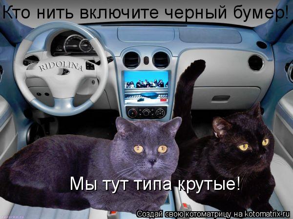 Кто нить включите черный бумер! Мы тут типа крутые!... Котоматрица: Кто нить включите черный бумер! Мы тут типа крутые!