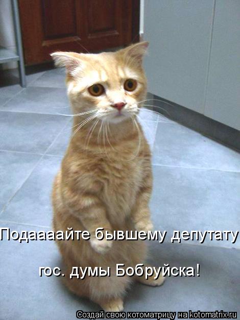 Подаааайте бывшему депутату гос. думы Бобруйска!... Котоматрица: Подаааайте бывшему депутату гос. думы Бобруйска!