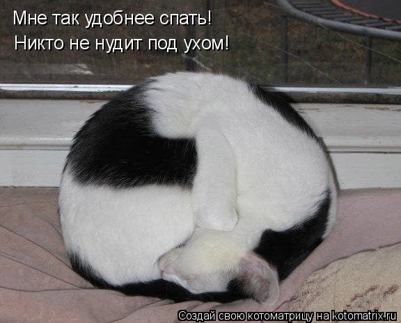 Мне так удобнее спать! Никто не нудит под ухом!... Котоматрица: Мне так удобнее спать! Никто не нудит под ухом!