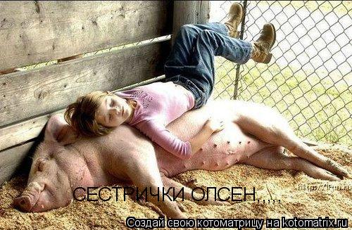 СЕСТРИЧКИ ОЛСЕН,,,,,... Котоматрица: СЕСТРИЧКИ ОЛСЕН,,,,,