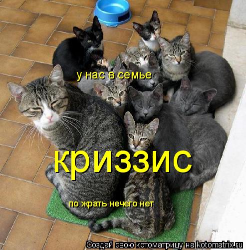 у нас в семье криззис по жрать нечего нет... Котоматрица: у нас в семье криззис по жрать нечего нет