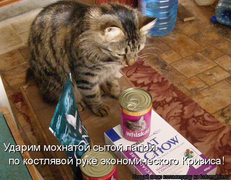 Ударим мохнатой сытой лапой по костлявой руке экономического Кризиса!... Котоматрица: Ударим мохнатой сытой лапой по костлявой руке экономического Кризиса!