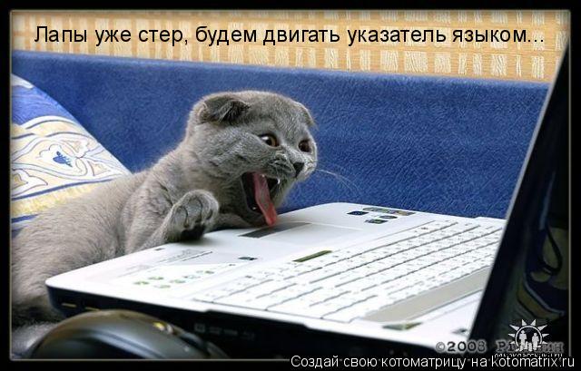Лапы уже стер, будем двигать указатель языком...... Котоматрица: Лапы уже стер, будем двигать указатель языком...