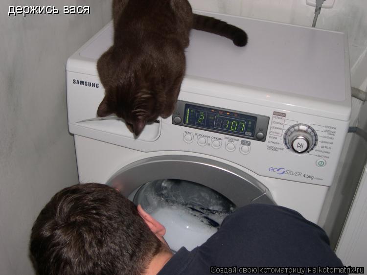 держись вася... Котоматрица: держись вася