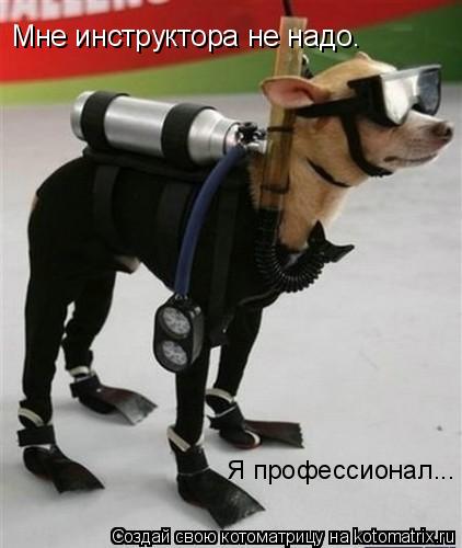 Мне инструктора не надо. Я профессионал...... Котоматрица: Мне инструктора не надо. Я профессионал...