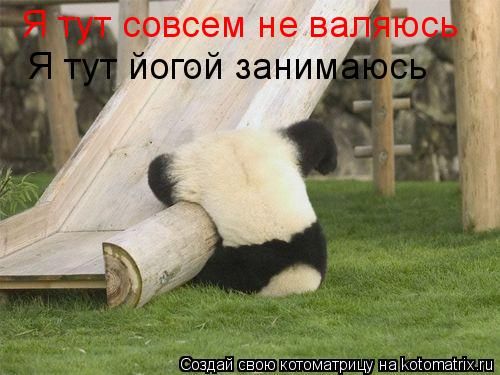 Я тут совсем не валяюсь Я тут йогой занимаюсь... Котоматрица: Я тут совсем не валяюсь Я тут йогой занимаюсь