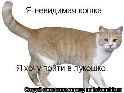 Я-невидимая кошка, Я хочу пойти в лукошко!... Котоматрица: Я-невидимая кошка, Я хочу пойти в лукошко!