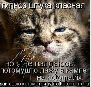 гипноз штука класная но я не паддаюсь потомушто лажу в кампе на kotomatrix.... Котоматрица: гипноз штука класная но я не паддаюсь потомушто лажу в кампе на kotomatrix.