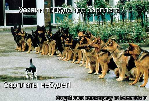 Хозяин ты куда где зарплата? Зарплаты небудет!... Котоматрица: Хозяин ты куда где зарплата? Зарплаты небудет!