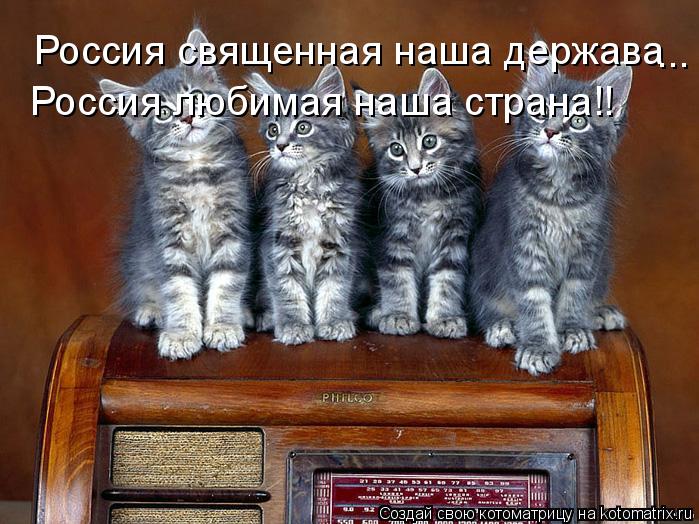 Россия священная наша держава Россия любимая наша страна!! ...... Котоматрица: Россия священная наша держава Россия любимая наша страна!! ...