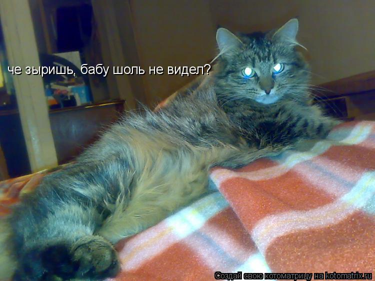 че зыришь, бабу шоль не видел?... Котоматрица: че зыришь, бабу шоль не видел?