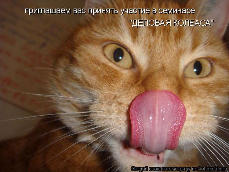 приглашаем вас принять участие в семинаре "ДЕЛОВАЯ КОЛБАСА"... Котоматрица: приглашаем вас принять участие в семинаре "ДЕЛОВАЯ КОЛБАСА"