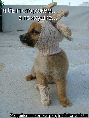 я был сторожем... в психушке...... Котоматрица: я был сторожем... в психушке...