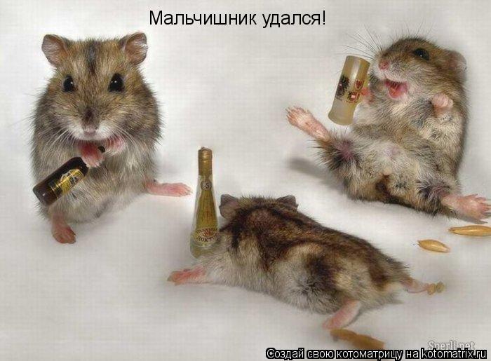 Мальчишник удался!... Котоматрица: Мальчишник удался!