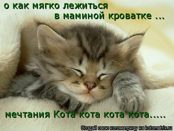 мечтания Кота кота кота кота..... о как мягко лежиться в маминой кроватке ...... Котоматрица: мечтания Кота кота кота кота..... о как мягко лежиться в маминой кроватке ...