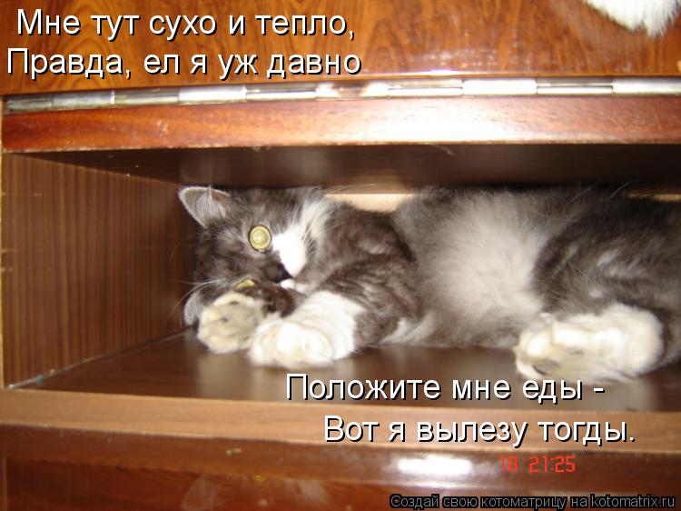 Мне тут сухо и тепло, Правда, ел я уж давно Положите мне еды - Вот я вылезу тогды.... Котоматрица: Мне тут сухо и тепло, Правда, ел я уж давно Положите мне еды - Вот я вылезу тогды.