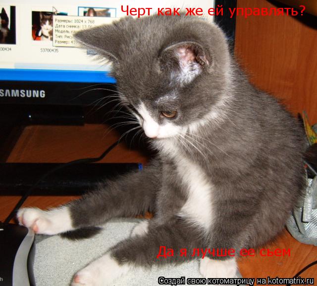 Черт как же ей управлять? Да я лучше ее сьем... Котоматрица: Черт как же ей управлять? Да я лучше ее сьем