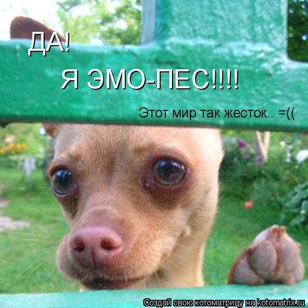 ДА! Я ЭМО-ПЕС!!!! Этот мир так жесток.. =((... Котоматрица: ДА! Я ЭМО-ПЕС!!!! Этот мир так жесток.. =((