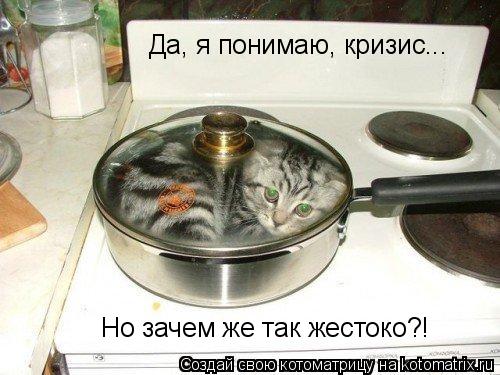 Да, я понимаю, кризис... Но зачем же так жестоко?!... Котоматрица: Да, я понимаю, кризис... Но зачем же так жестоко?!