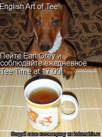 English Art of Tee! Пейте Earl Grey и соблюдайте ежедневное Tee Time at 17:00!... Котоматрица: English Art of Tee! Пейте Earl Grey и соблюдайте ежедневное Tee Time at 17:00!
