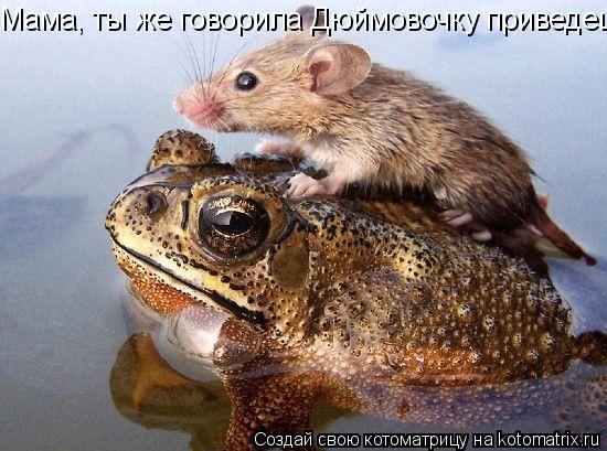 Мама, ты же говорила Дюймовочку приведешь?... Котоматрица: Мама, ты же говорила Дюймовочку приведешь?